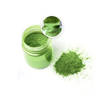 Pigment metalic (verde deschis) pentru epoxidic (10 g)