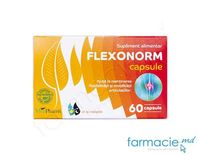 Flexonorm caps. N60 Vitapharm