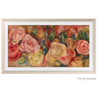 Аксессуар для телевизора Samsung VG-SCFC55SGMRU