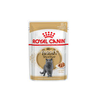 Royal Canin British Shorthair Adult ( в соусе ) 85 gr