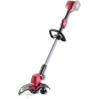 Trimmere pentru iarba Raider RDP-SCBC20 R20 / 20В, Li-Ion