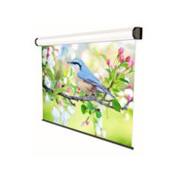 Electrical 350x219cm Sopar Professional 16:10,  Black Border, 5355