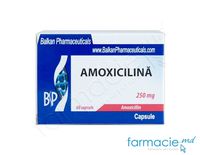 Amoxicilina 250 mg caps.N10x6 (Balkan)