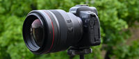 Prime Lens Canon RF 85mm f/1.2 L USM