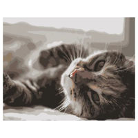 Tablou pe numere Strateg R 9 / 2 (DY109)(36214) Pisica оn raze, 40x50 cm