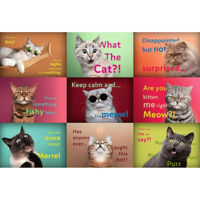 Головоломка Trefl R25K /20 (26212) 1500 Funny cat