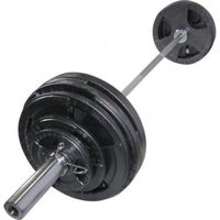 Гантель Arena 8022370 штанга 70kg металл