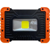 Прожектор miscellaneous EGOWL467R 20W 2000/1000/500LM