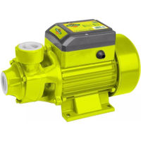 Насос Dyllu DTWPVA01 (51300)