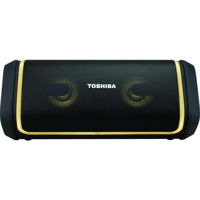 Колонка портативная Bluetooth Toshiba TY-WSP150