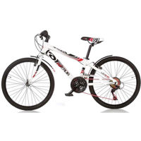 Велосипед Dino Bikes 1024 B-05 Fast Boy ø 24