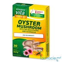 Oyster Mushroom + Catina + Echinaceea caps. N30 MaxiVita