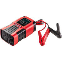 Зарядное устройство для авт.аккумуляторов Raider RD-BC17 автомобильное инверторное зарядное устройство 6/12V, 45Ah, LCD