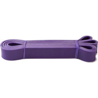 Expander Arena 890493285 резина для подтягиваний 8904932