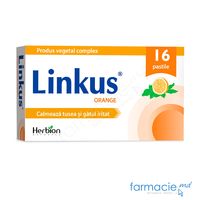 {'ro': 'Linkus pastile N16 portocala', 'ru': 'Линкас,табл. N16 апельсин'}