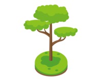 Сосна горная