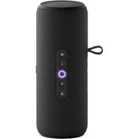 Колонка портативная Bluetooth Yandex YNDX-00030BLK Alisa Station Street Black
