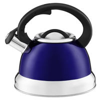Чайник Ambition 37151 Rene, stainless steel