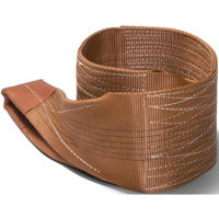 Багажная система Tolsen Slinguri cu bucla textila 6t 6m Brown (62291)