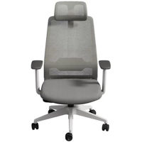 Офисное кресло Deli CDBD04, сетка и обивка, серое