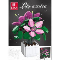 Set de construcție Richi (70533) Constructor 698elem