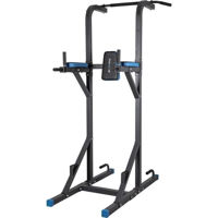 Турник Thunder WINGS