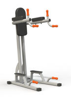 Aparat fitness Power Tower PTP 577 art. 40916