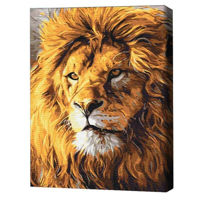 Картина по номерам BrushMe BS52292FC 40х50сm (fără cutie) Privire de mândrie