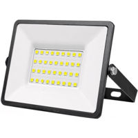Прожектор Dyllu DTWX15301 LED Proiector (50772)