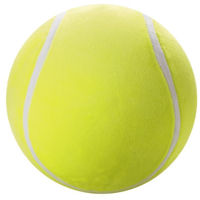 Игрушка miscellaneous EOLO 002SPT Lit´l Biggie Bouncerz (в ассорт.)
