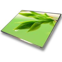 Display 17.3" N173FGE-E23, LED 30 pins HD+ (1600x900) Socket Left-Side Glossy