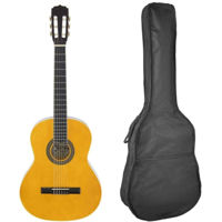 Chitară Fiesta Aria 4/4 FST-200 Natural + husa