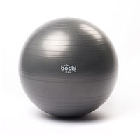 Minge de gimnastica d=65 cm Bodhi  Ball