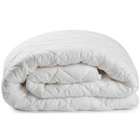 Комплект подушек и одеял Pereflex BPB-0242 Одеяло (синтепон) 200x220 см (085523)