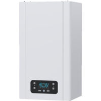 Газовый котёл E.C.A. Gerda 24 kW