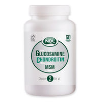 cumpără SBA Glucosamin 750mg comprimate N60 în Chișinău