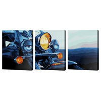Tablou pe numere Art Gallery PX5360 Pictura pe numere-triptih 40x50cm Motociclu
