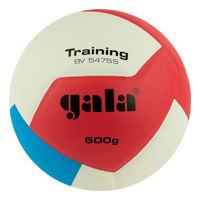 Мяч Gala 11824 Minge volei Training 5475