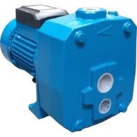 HIDROFOR-MOTOR AQUATICELEFANT AUTO DP505B