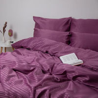 Домашний текстиль Relaxe Home Комплект постельного белья TEP Stripe Satin 200x220 см Sorbet