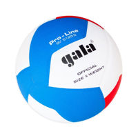 Мяч волейбольный №5 Gala Pro Line 5125 (10542)