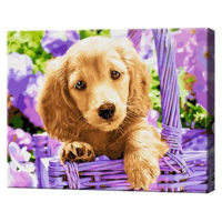 Картина по номерам Art Gallery GX28413 Catelus in cos 40x50cm Eco