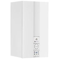 Газовый котел Biasi RinNOVA Cond Plus M260V.25S