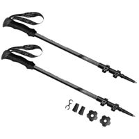 Треккинговые палки Spokey 929460 Zion Black