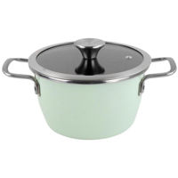 Кастрюля Delimano Nordic Mint Pot+Lid 20сm (110085708)