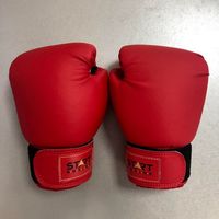 Перчатки боксерские 6 oz Start Boxing (5828)