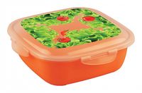 Container BYTPLAST 4311942 Click&Lock (1,55 L)