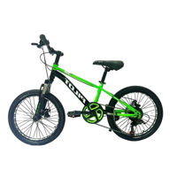Bicicletă Richi GI-9 / 1 verde PILOT pentru copii 20'