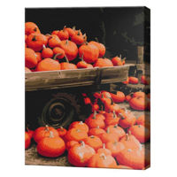 Картина по номерам BrushMe BS52369 Pictura pe numere 40x50cm Eco Peisaj de toamna