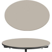 Аксессуар для кухонных моек Reginox R41444 Coverplate Champagne